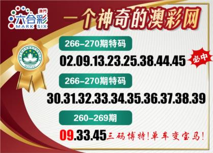 澳彩网
